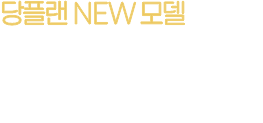당플랜 NEW 모델